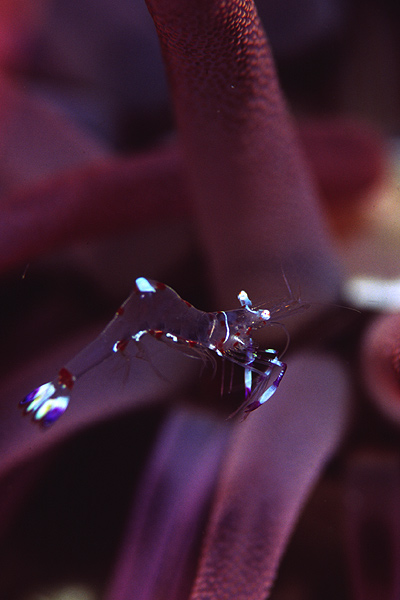 c0064907_2125969.jpg