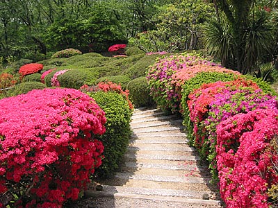 a0041508_22591089.jpg