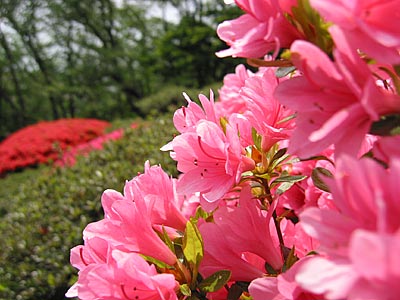 a0041508_22592563.jpg