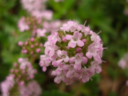 e0083212_16293080.jpg