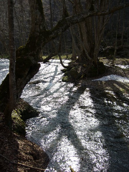 e0073717_22245386.jpg
