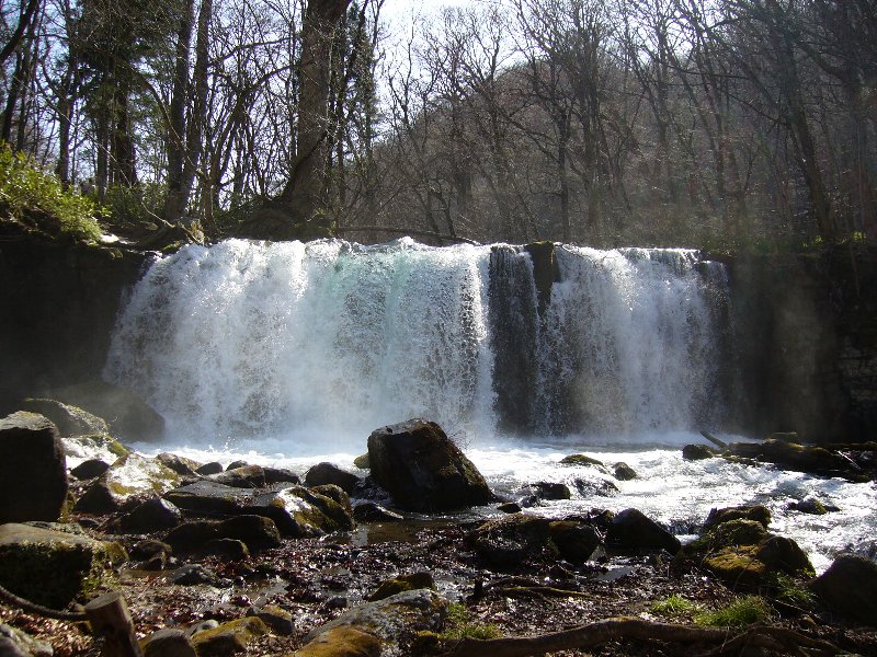 e0073717_22253624.jpg