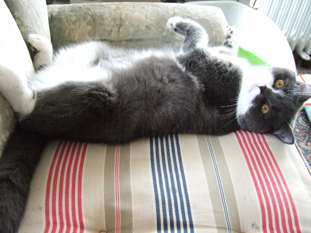 f0032020_16542751.jpg
