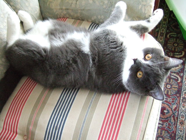 f0032020_16551291.jpg