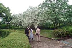 f0060424_1930829.jpg