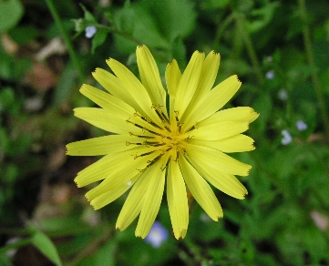 e0071225_23301635.jpg