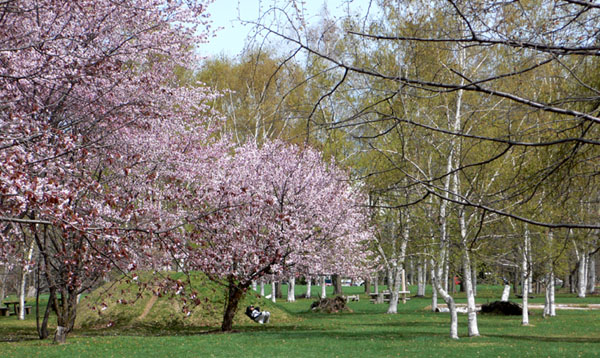 a0046429_23214593.jpg