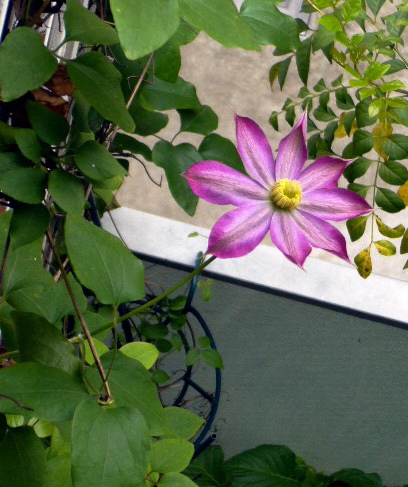 f0023329_926546.jpg