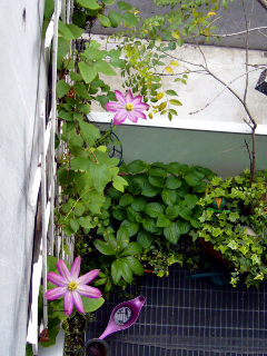 f0023329_9545433.jpg