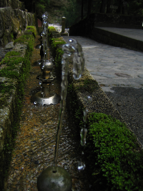 c0014035_143021.jpg