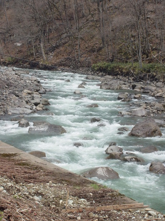 a0057149_1141766.jpg