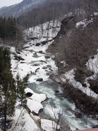 a0057149_1145497.jpg