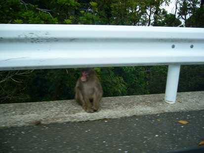 f0067354_18513779.jpg
