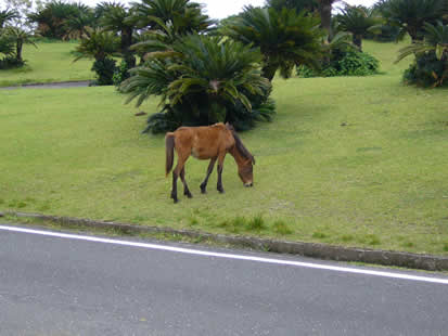 f0067354_1853167.jpg