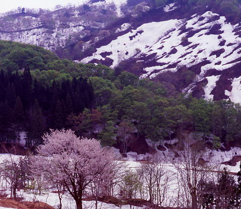 b0083855_0284367.jpg
