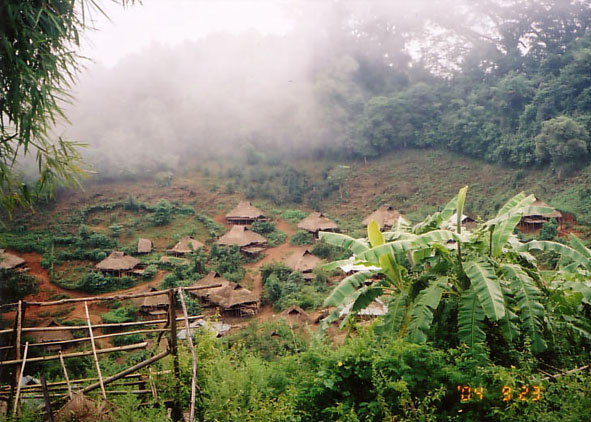 b0002156_145090.jpg