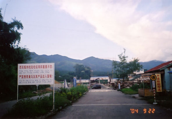 b0002156_212775.jpg