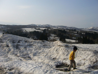 b0015260_13194530.jpg