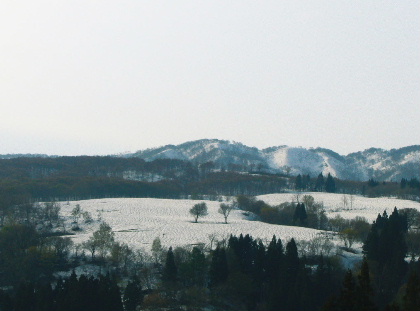 b0015260_1320256.jpg