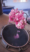 d0065364_0445928.gif