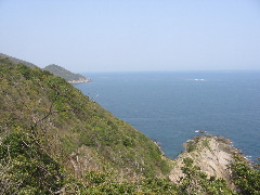 b0039373_20444859.jpg