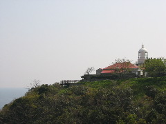 b0039373_20452483.jpg