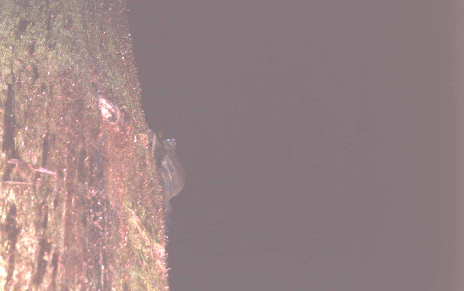 f0047593_1172073.jpg