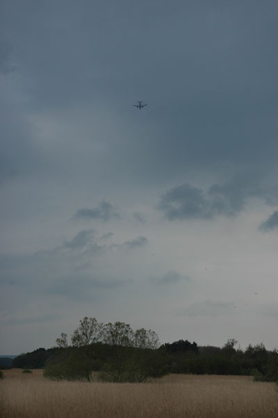 a0065194_1738112.jpg