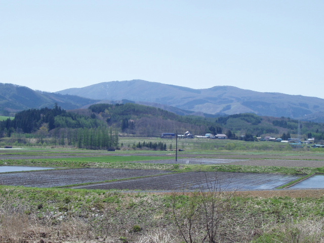 f0003499_17102686.jpg