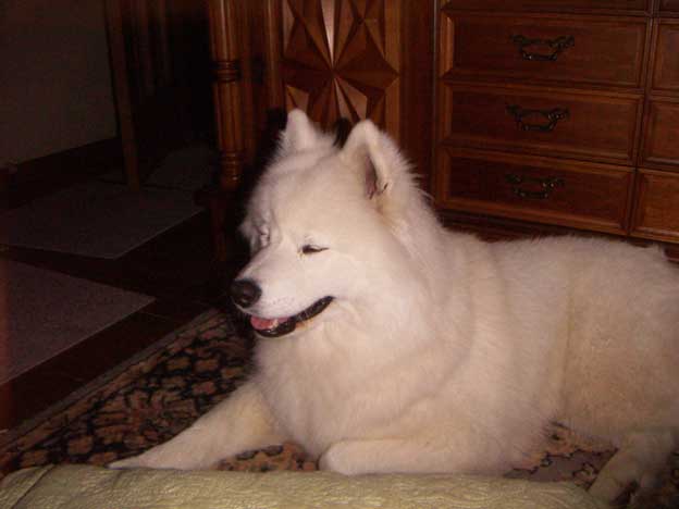e0018604_17571031.jpg