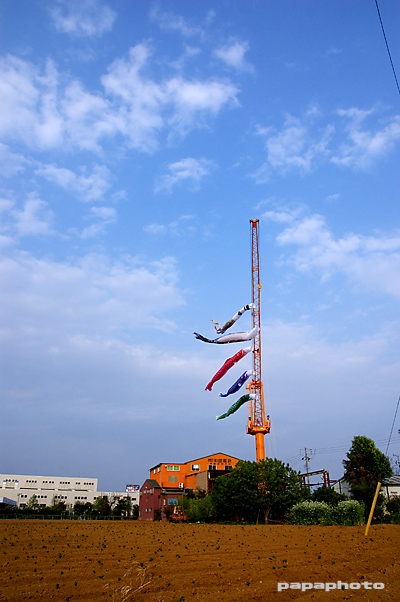 f0041908_13151186.jpg