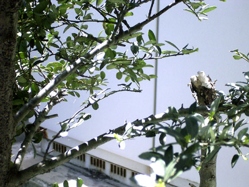 b0044726_031778.jpg