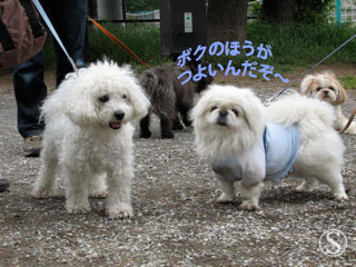 e0021328_23455040.jpg
