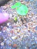 e0053528_9262845.jpg