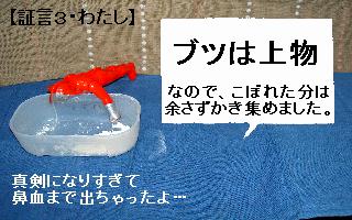 a0048531_1842349.jpg
