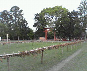 b0039246_22555364.jpg