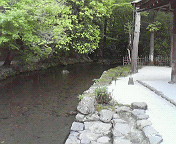 b0039246_22593674.jpg