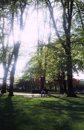 a0012950_16224563.jpg