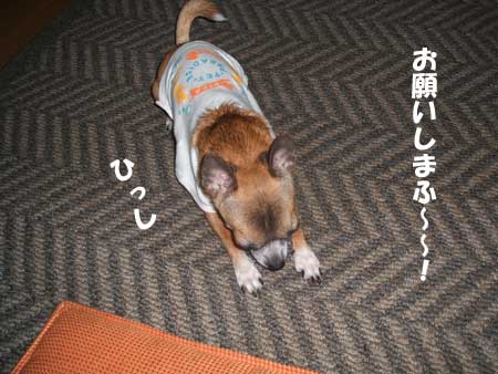 c0019050_17552490.jpg