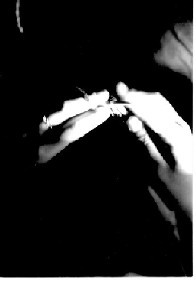 f0082452_93620.jpg