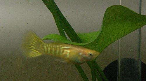 e0072757_03892.jpg