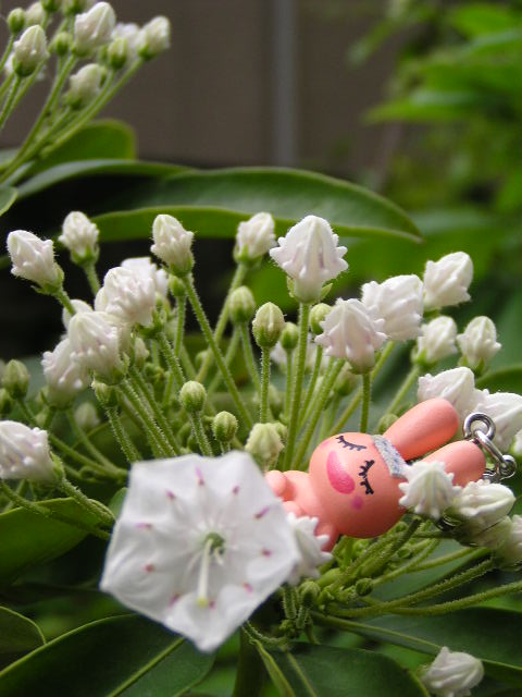 f0074659_2149763.jpg