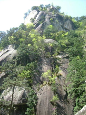 f0038665_23182677.jpg