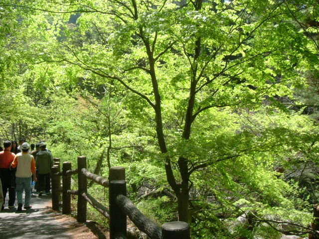 f0038665_23214831.jpg
