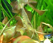 f0077270_22543863.jpg