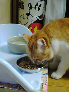 f0095271_2158626.jpg