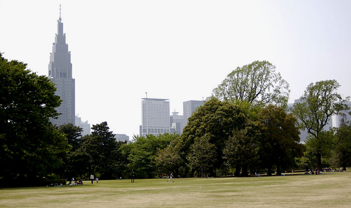 c0009981_525090.jpg