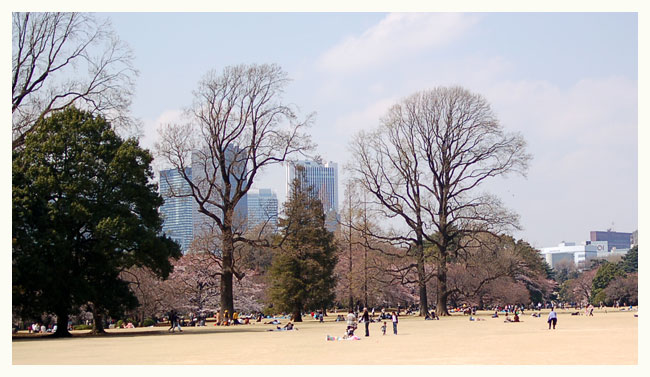 c0009981_5554094.jpg