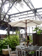a0062983_1639297.jpg