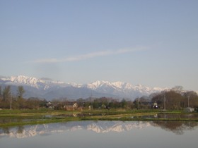 a0034487_148771.jpg